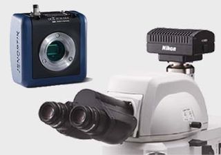 Mikroskop-Kameras